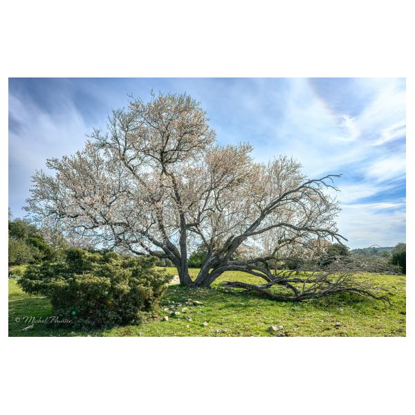 PHOTO84, CLUB, 84 , LUBERON